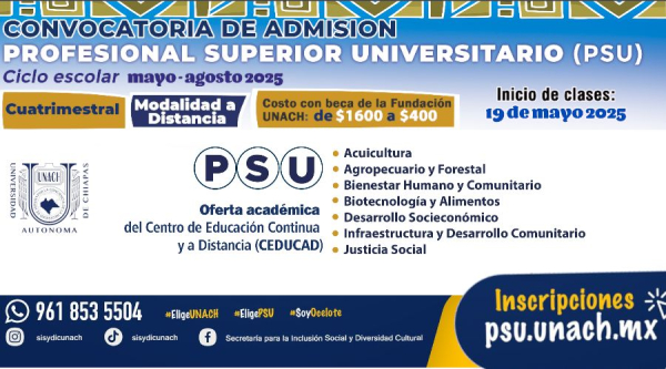 Convocatoria Profesional Superior Universitario mayo - agosto 2025